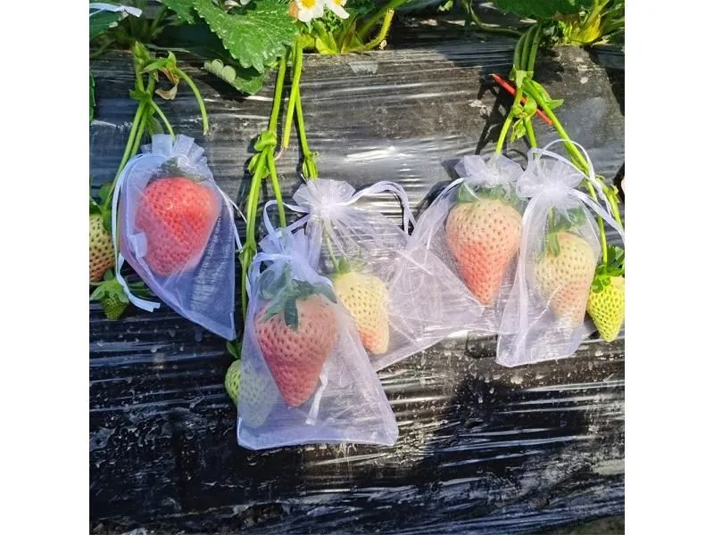 100Pcs Grape Fruit Protection Bags Garden Netting Bag With Drawstring
