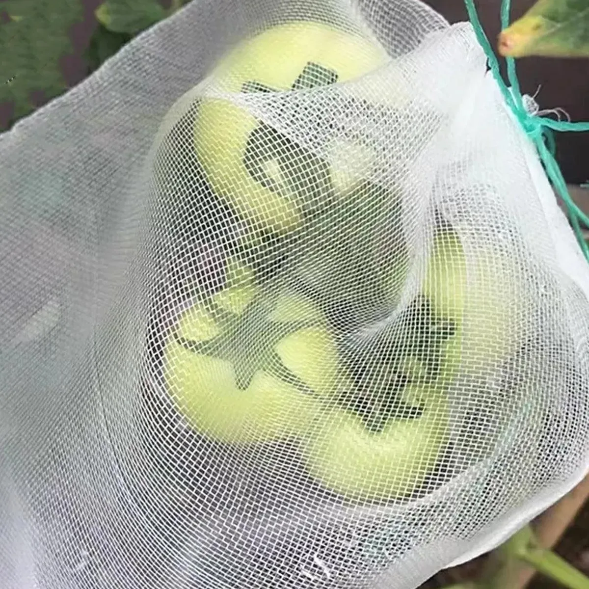 50pcs Fruit and Vegetable Protection Bags Nylon Mesh Bird Proof Garden Bags