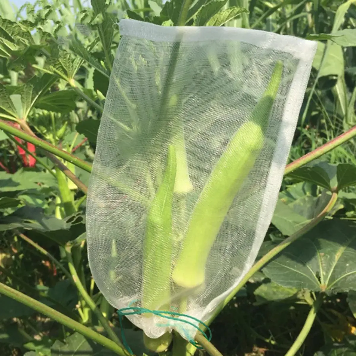 50pcs Fruit and Vegetable Protection Bags Nylon Mesh Bird Proof Garden Bags