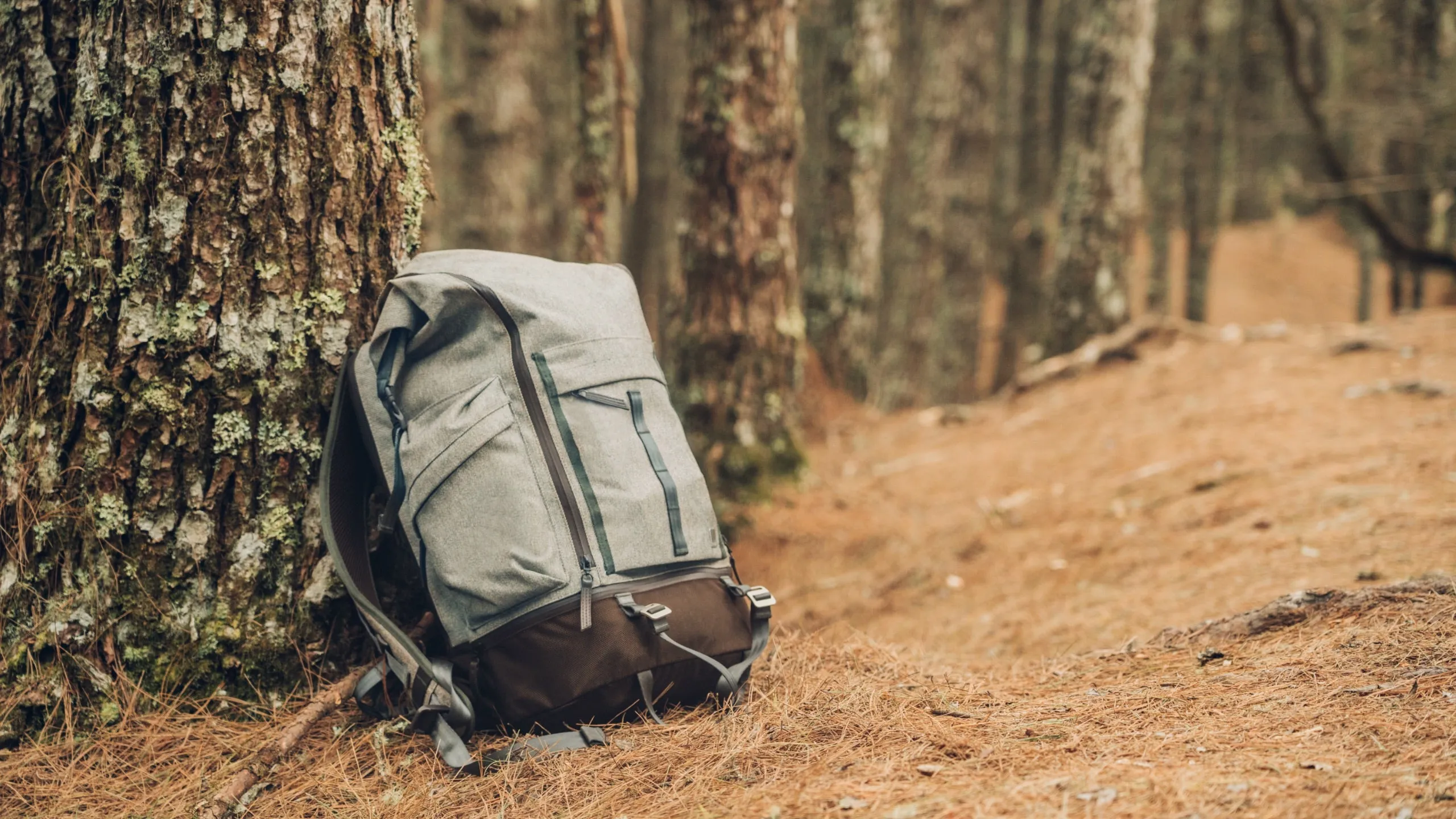 Captus Rolltop Backpack