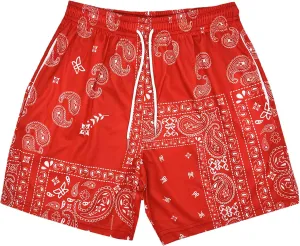 DIOTSR Mens Paisley Graphic Shorts Athletic Basketball Bandana Shorts Running Streetwear Y2k Drawstring Waist