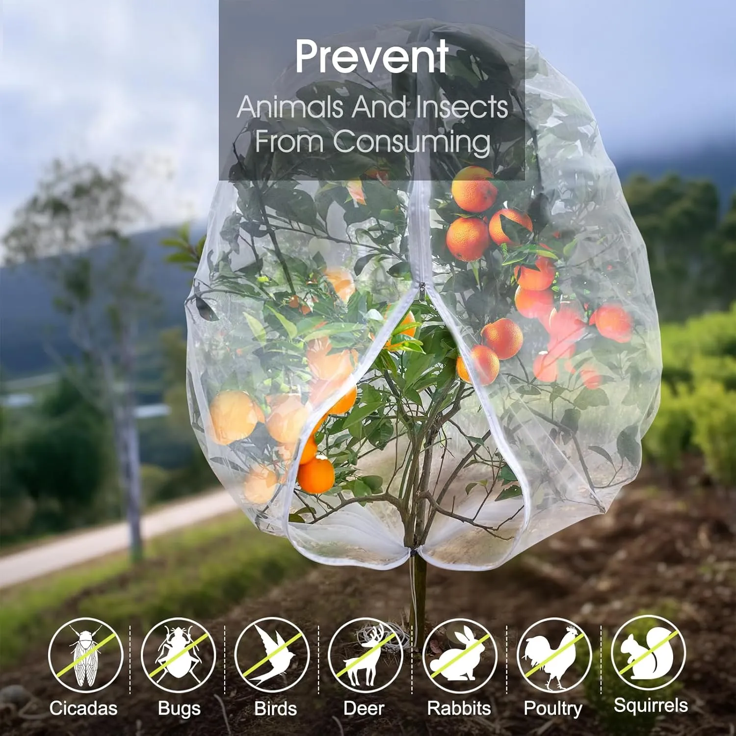 Fruit Tree Netting, RIFNY Large 7 x 6 FT Blueberry Bush Netting Cover with Zipper Drawstring, Outdoor Mosquito Net Garden Netting Protector Plant from Birds Cicadas Animals Insect (2 PCS, White)