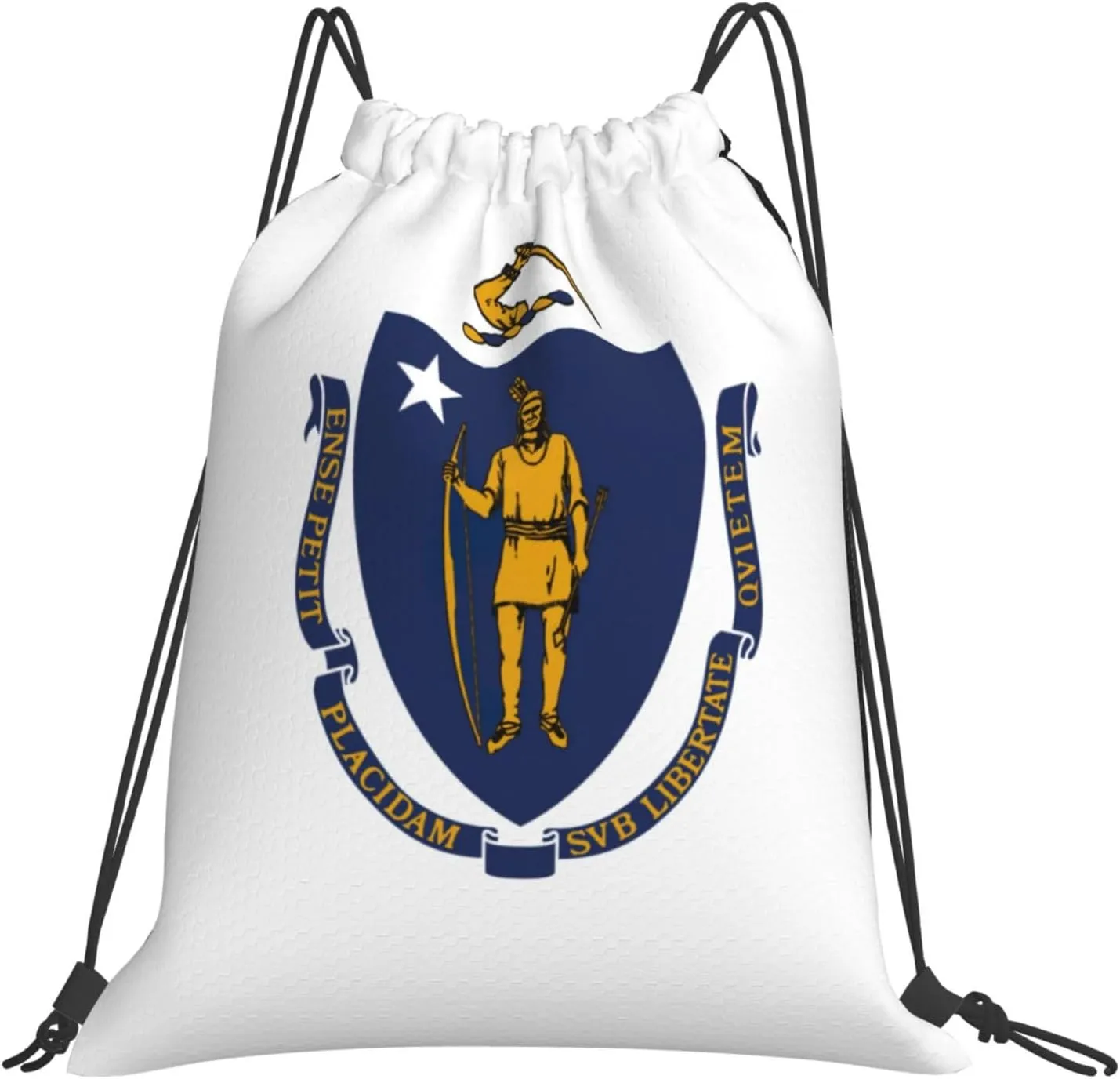 Massachusetts State Flag print Casual drawstring backpack fitness bag, fashionable, fit for sports travel and daily use