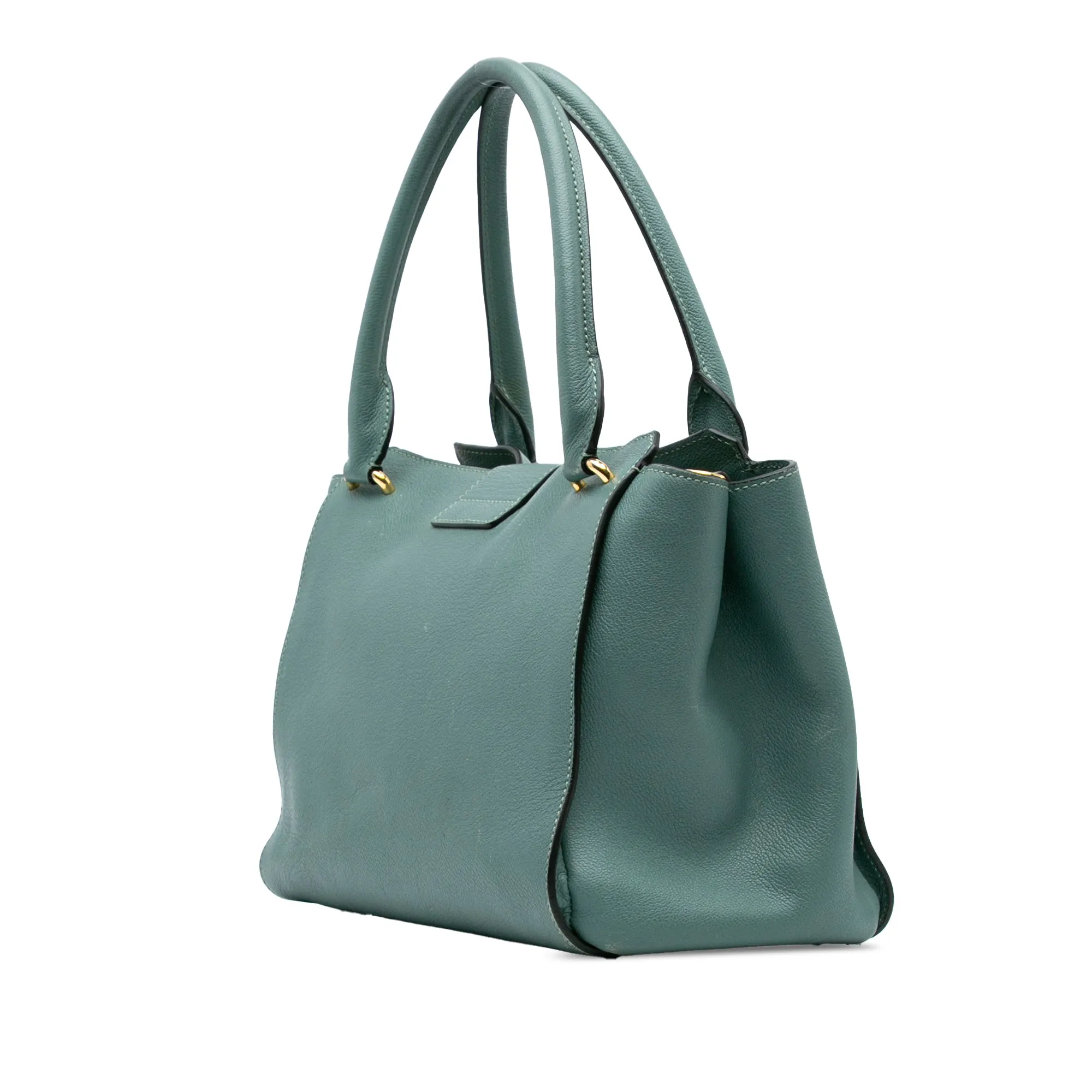 Medium Grained Calfskin Buckle Tote