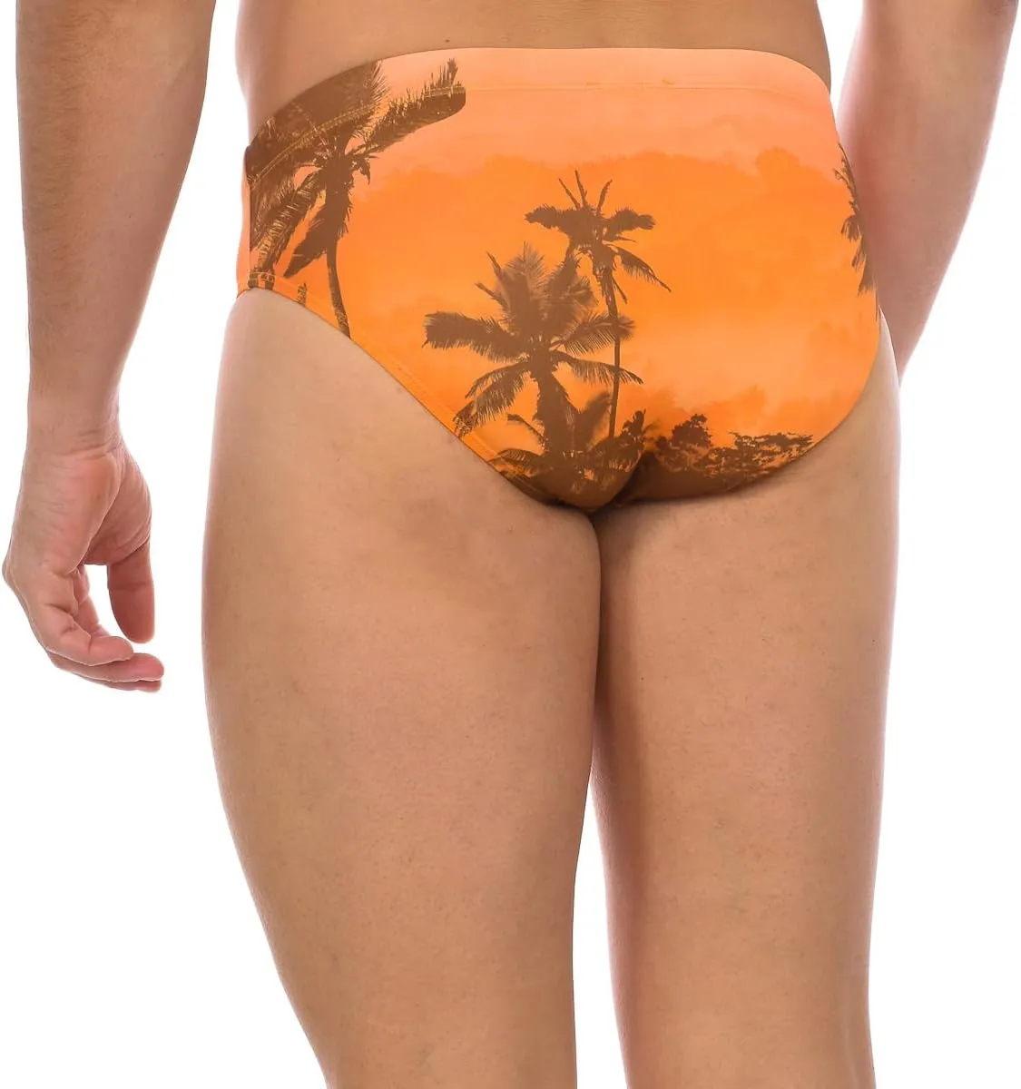 Men's Swim Briefs Swimming Pool Swimwear Internal Drawstring Article BKK2MSP08 Series: Tropical Land Scape