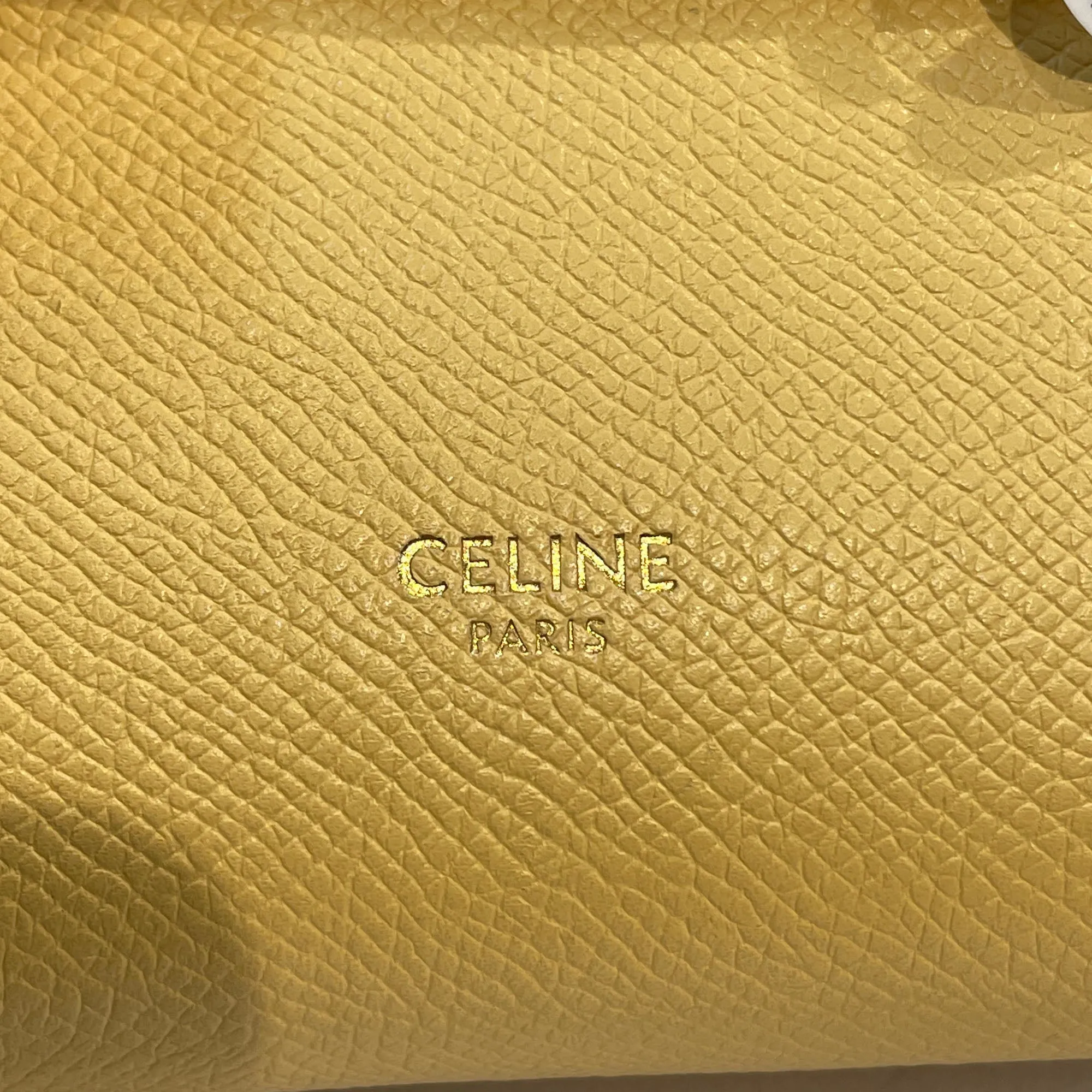 Pico Grained Calfskin Belt Bag