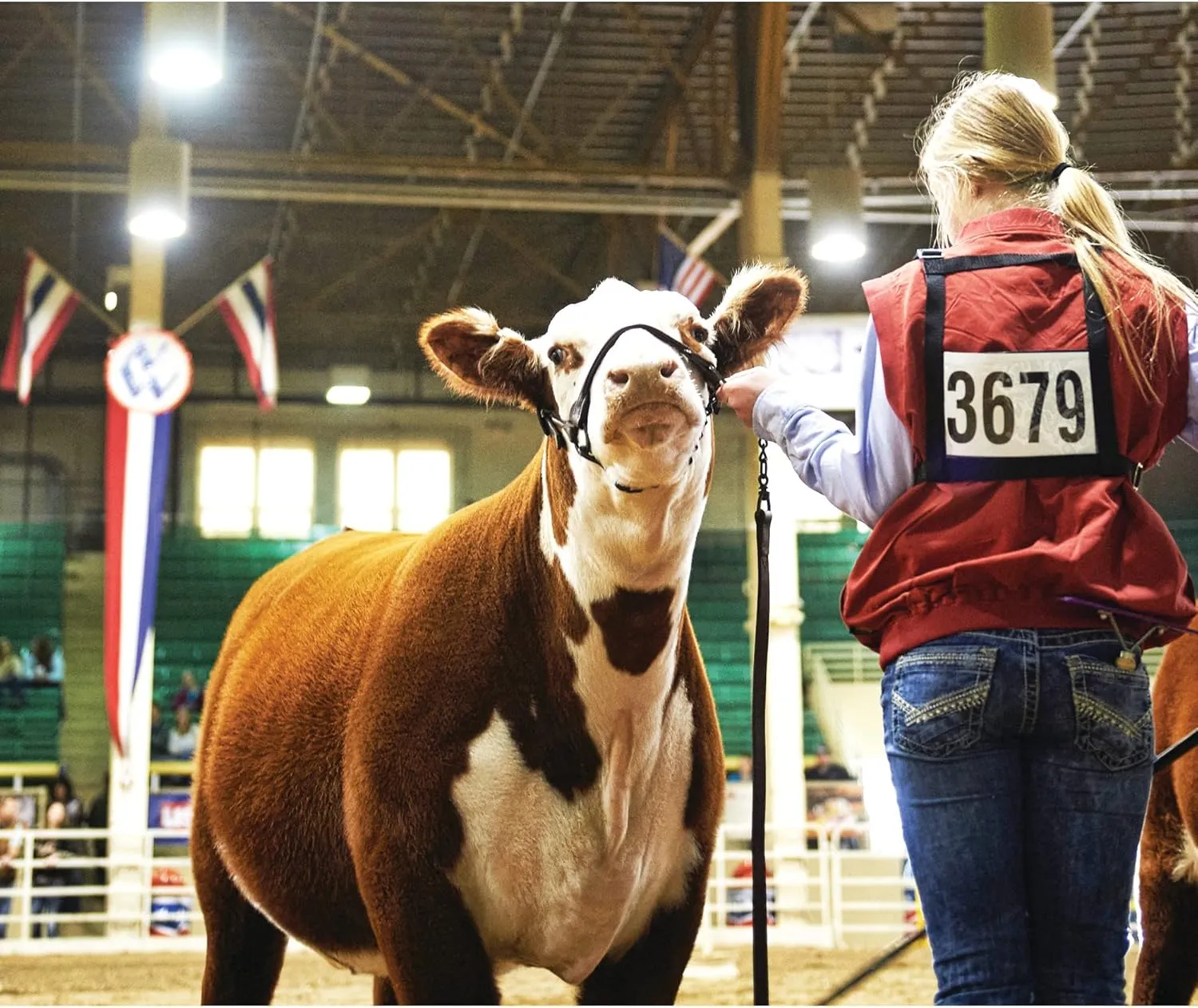 Weaver Leather Exhibitor Number Harness